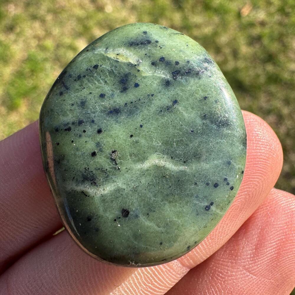 Canadian Jade Palm Stone Nephrite #17